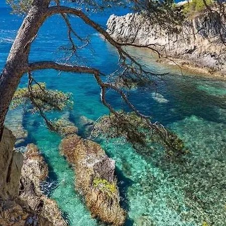 T2: 45m2 :4 Places :indépendant Dans Appartement Hyères