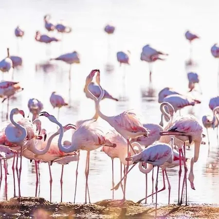 T2: 45m2 :4 Places :indépendant Dans