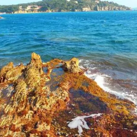 Lejlighed T2: 45m2 :4 Places :independant Dans Hyères