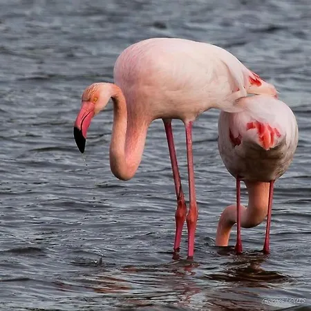 T2: 45m2 :4 Places :independant Dans