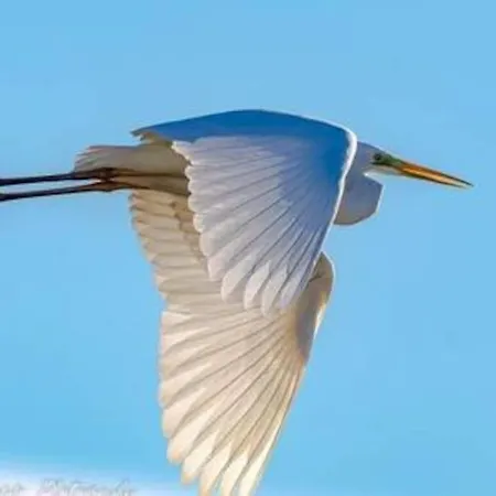 T2: 45m2 :4 Places :independant Dans 히에레