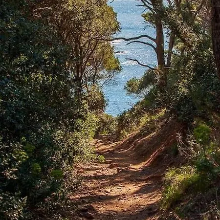 T2: 45m2 :4 Places :independant Dans *