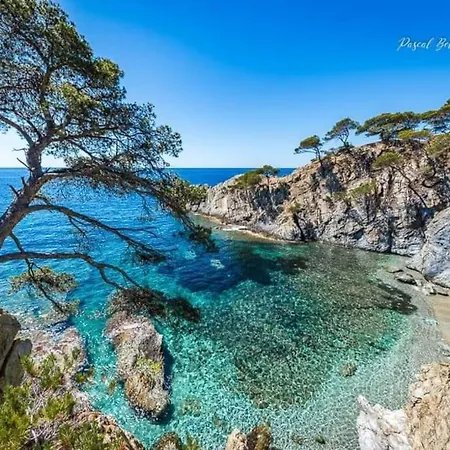 T2: 45m2 :4 Places :independant Dans * 히에레