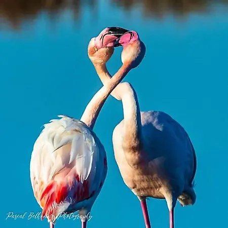 T2: 45m2 :4 Places :independant Dans * 히에레