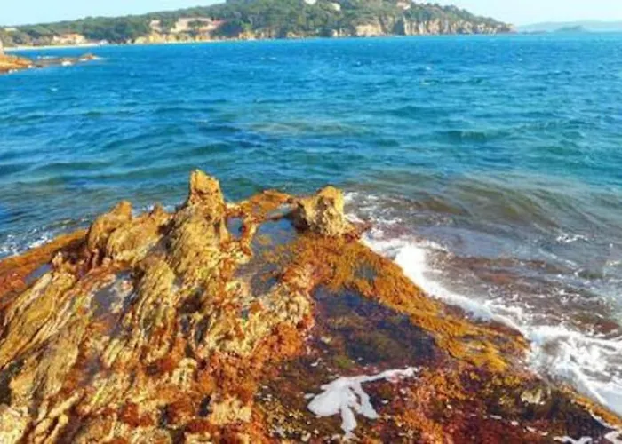 Lägenhet T2: 45m2 :4 Places :independant Dans Hyères