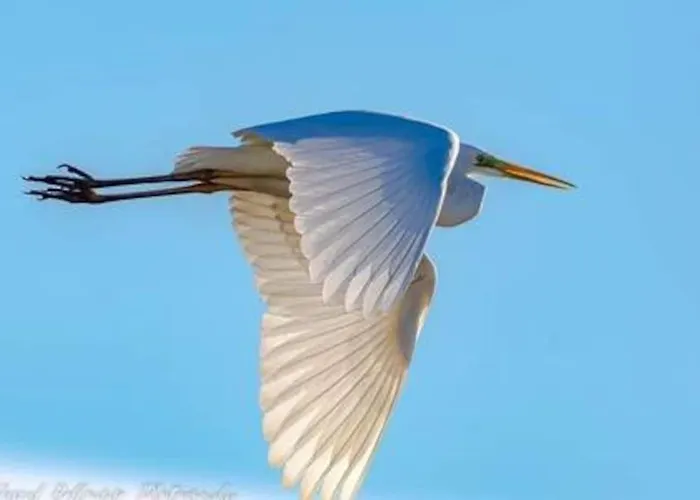 T2: 45m2 :4 Places :independant Dans Hyères