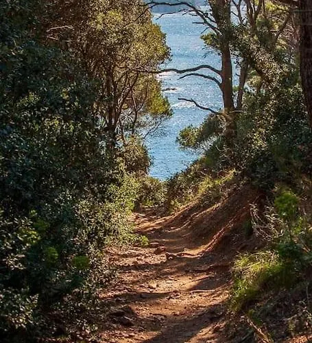 T2: 45m2 :4 Places :independant Dans *