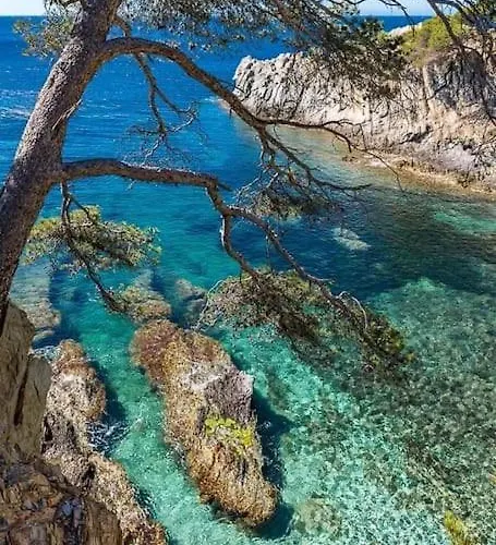 T2: 45m2 :4 Places :independant Dans Lejlighed Hyères