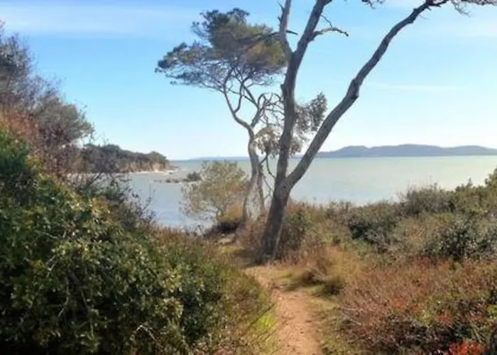 T2: 45m2 :4 Places :independant Dans Lejlighed Hyères