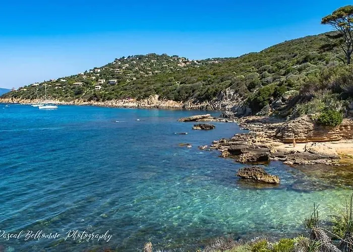 T2: 45m2 :4 Places :independant Dans Lejlighed Hyères