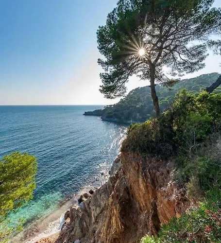 T2: 45m2 :4 Places :independant Dans * Hyères