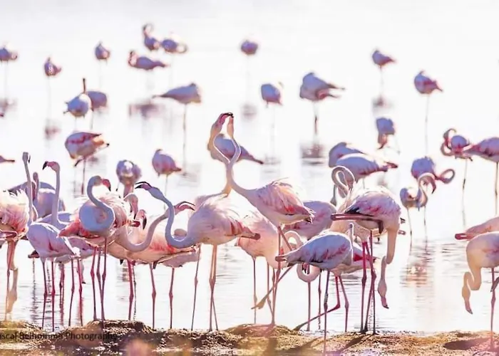 T2: 45m2 :4 Places :independant Dans